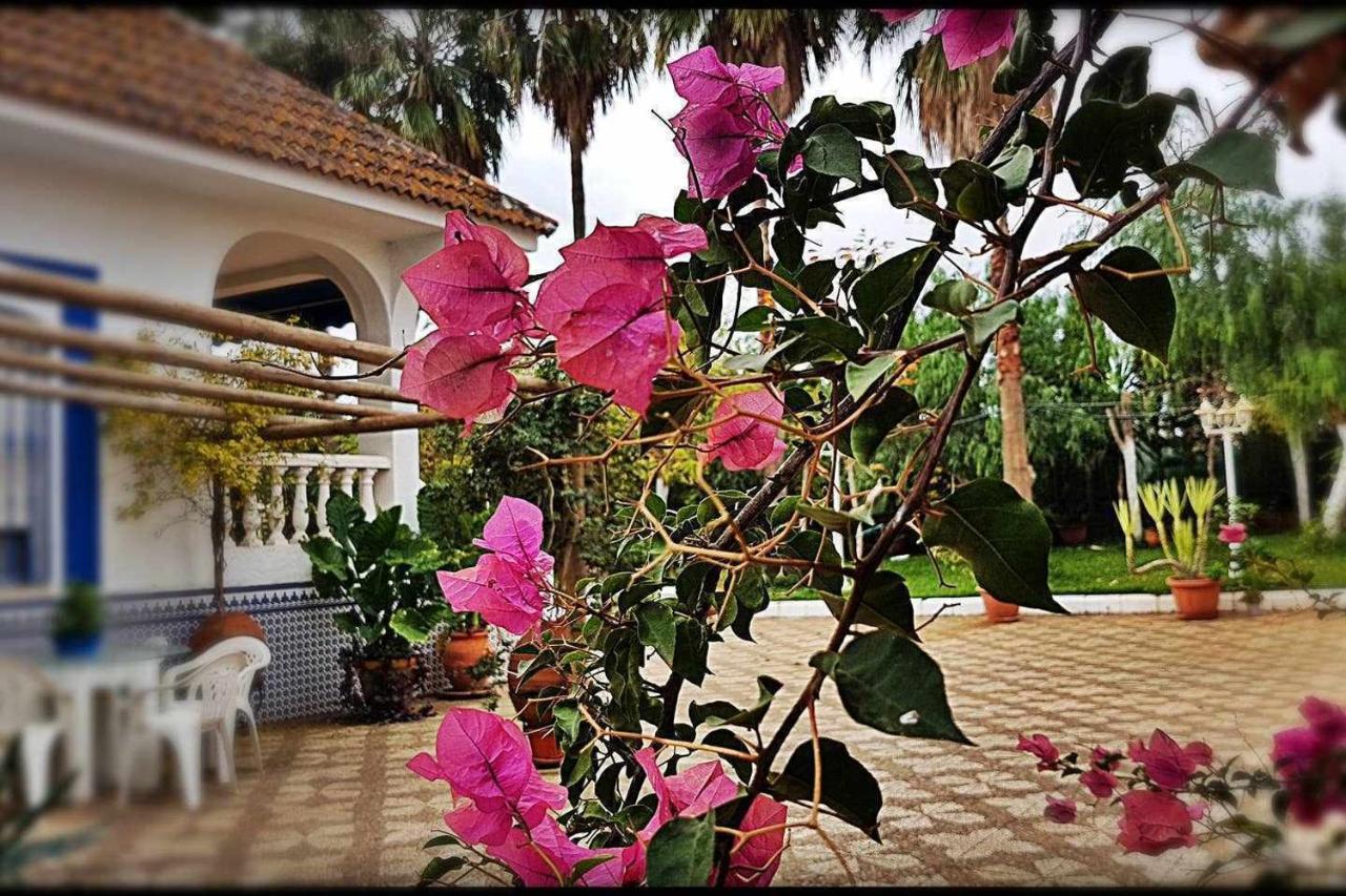 Casa Rural Finca Real De Niebla Hostal Exterior foto